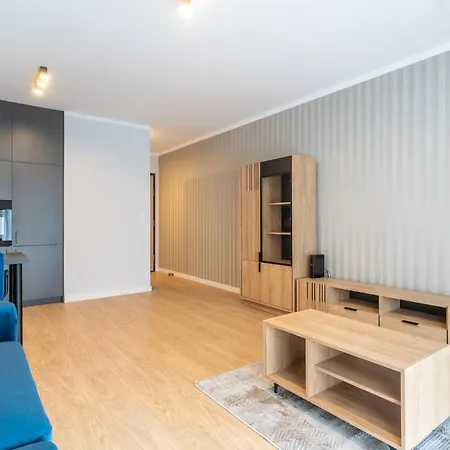 Ceglana Blue Studio Katowice
